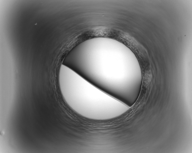 X0000098220413200804241137