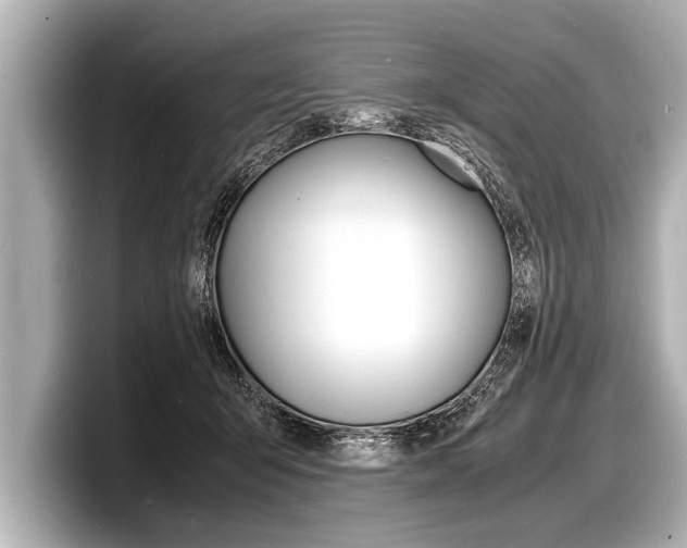 X0000098220415200804241137
