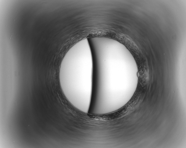X0000098220416200804241137