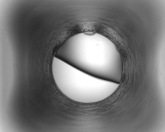 X0000098220417200804241137