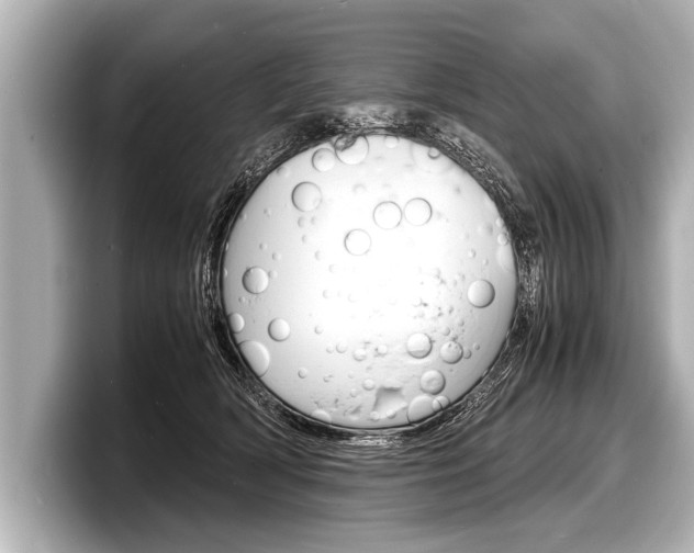 X0000098220418200804241137