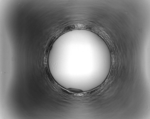 X0000098220419200804241137