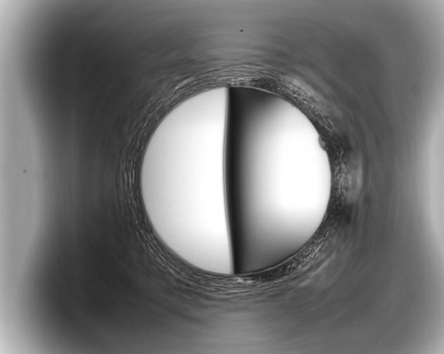 X0000098220421200804241137