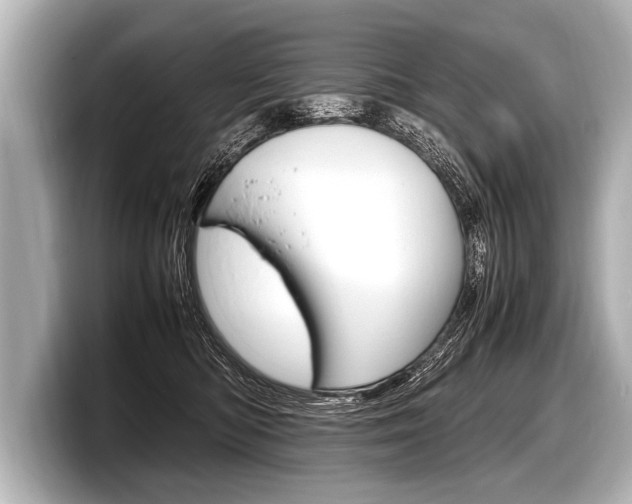 X0000098220422200804241137