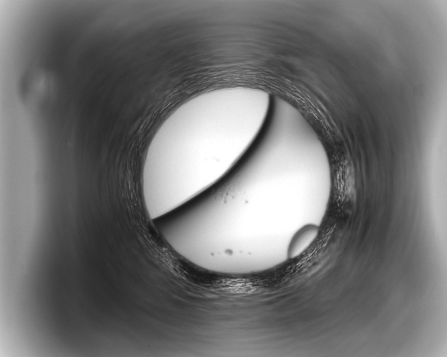 X0000098220424200804241137