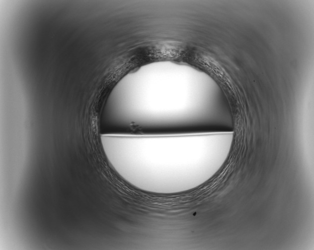 X0000098220425200804241137
