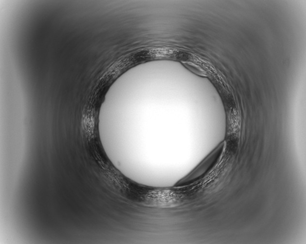 X0000098220427200804241137