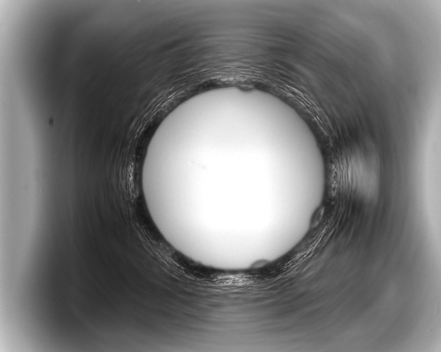X0000098220428200804241137