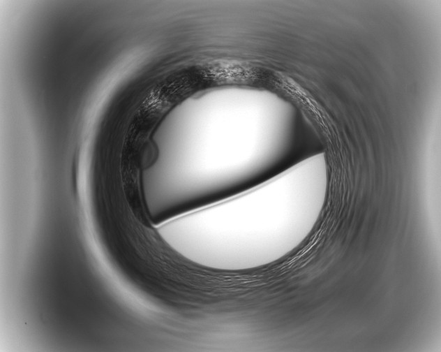 X0000098220429200804241137