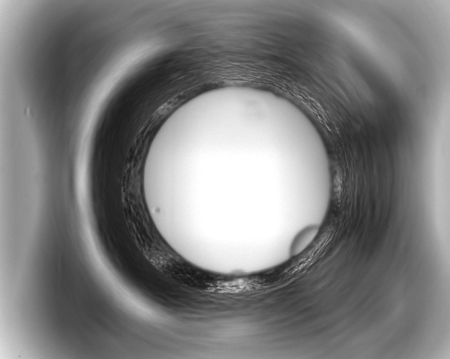X0000098220430200804241137