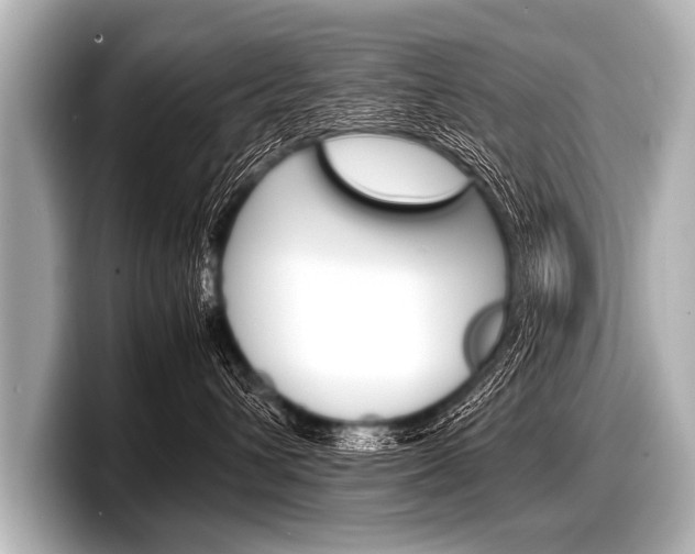 X0000098220432200804241137