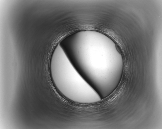X0000098220433200804241136