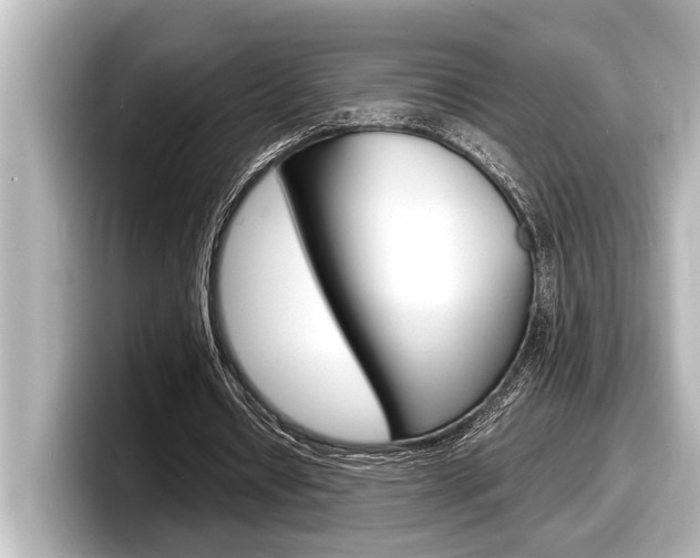 X0000098220434200804241136
