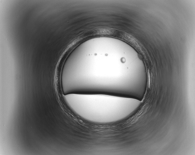 X0000098220435200804241136