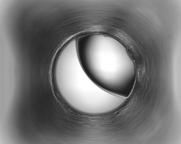 X0000098220436200804241136