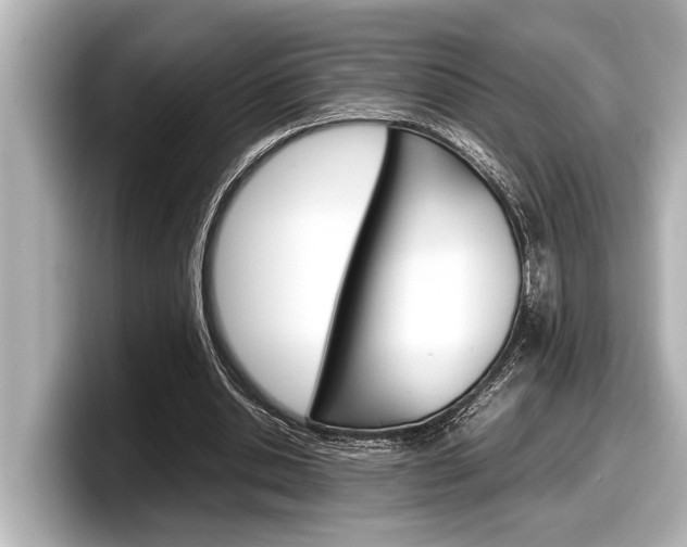 X0000098220438200804241136