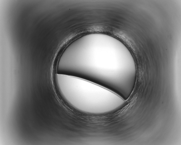 X0000098220439200804241136