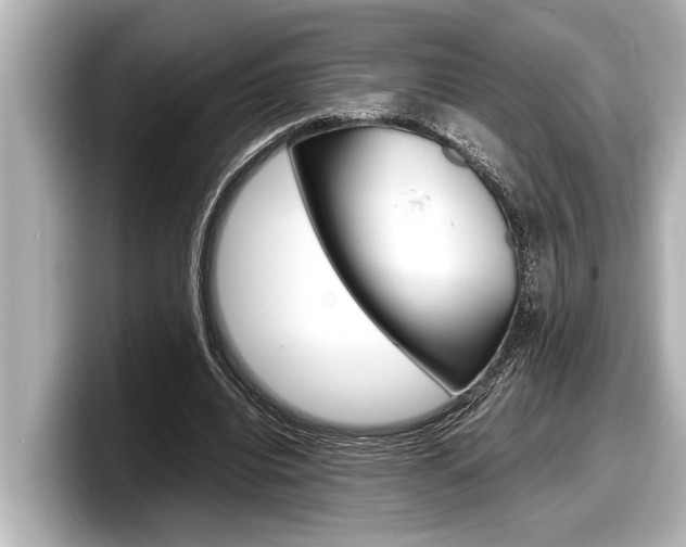 X0000098220440200804241136