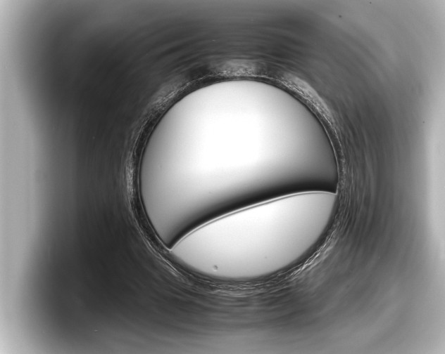 X0000098220441200804241136