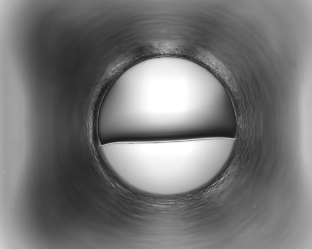 X0000098220442200804241136