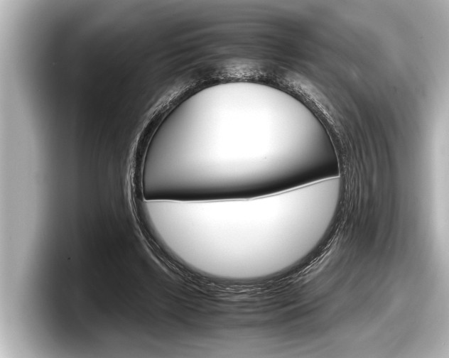 X0000098220443200804241136