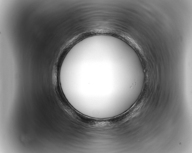 X0000098220446200804241136