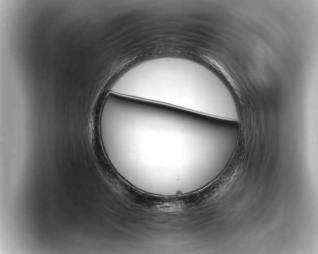 X0000098220447200804241136