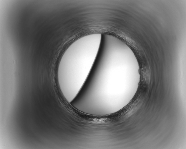 X0000098220450200804241136