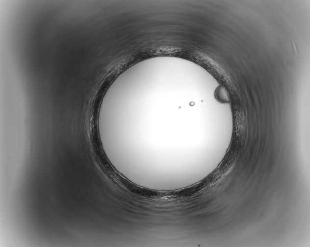 X0000098220451200804241136