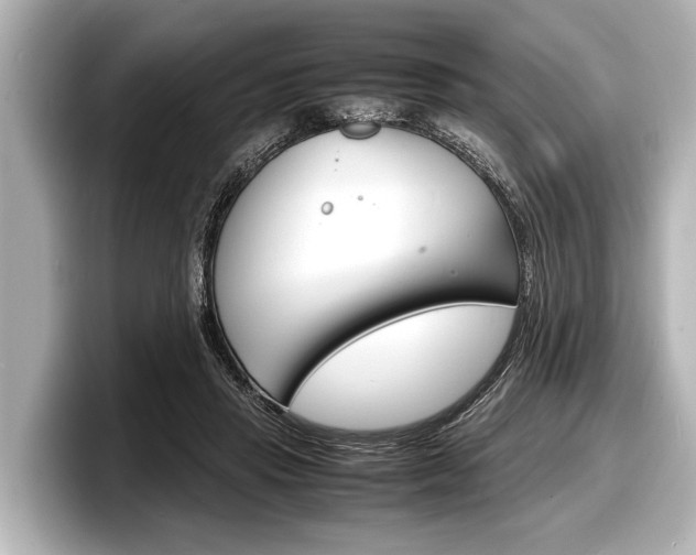 X0000098220453200804241136