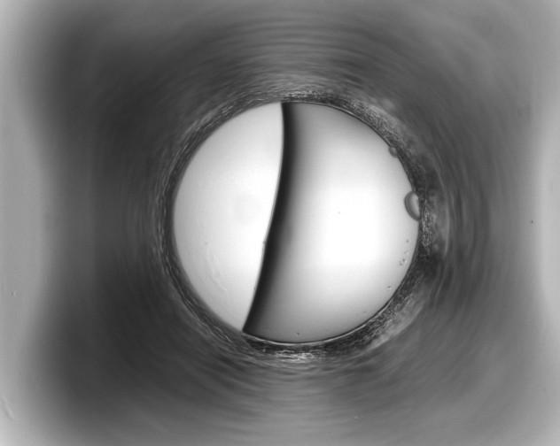 X0000098220454200804241136