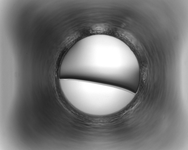 X0000098220455200804241137