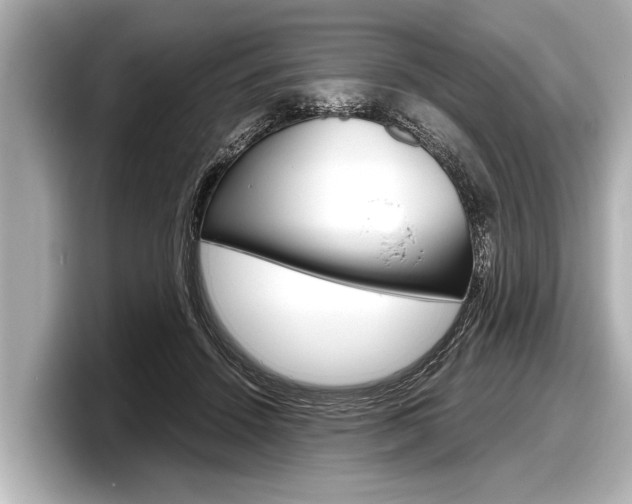 X0000098220456200804241137