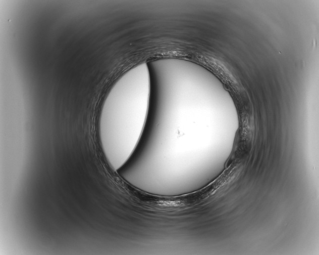X0000098220457200804241137