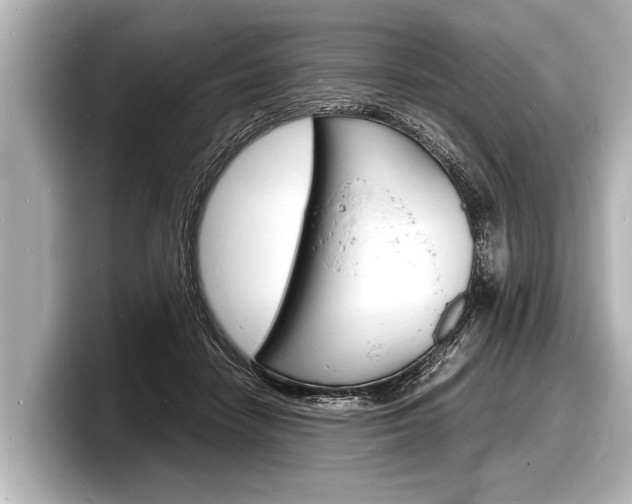 X0000098220458200804241137
