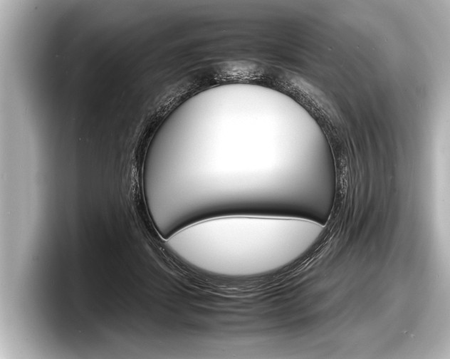 X0000098220459200804241137