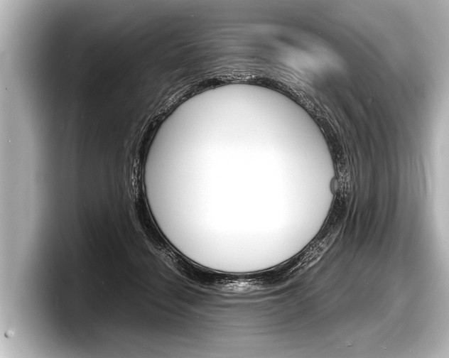 X0000098220460200804241137