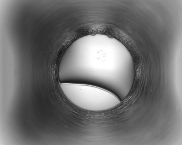 X0000098220464200804241137