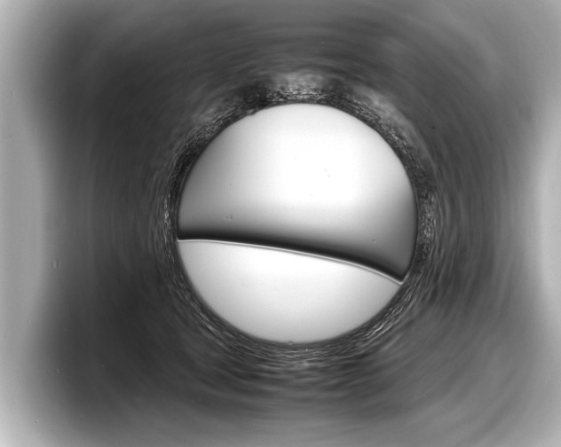 X0000098220465200804241137