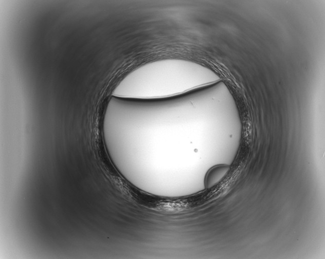 X0000098220466200804241137