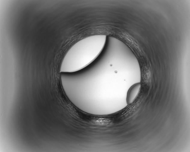 X0000098220467200804241137