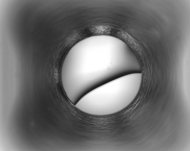 X0000098220469200804241137