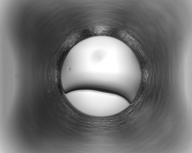 X0000098220470200804241137
