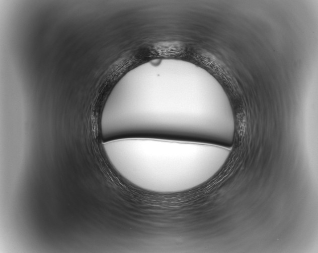 X0000098220471200804241137