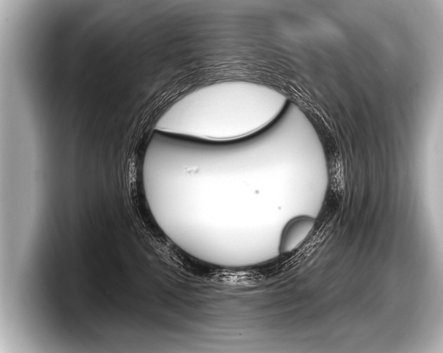 X0000098220472200804241137
