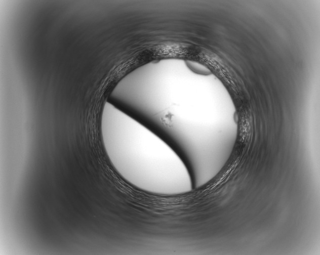 X0000098220473200804241137