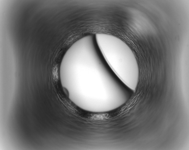 X0000098220479200804241137
