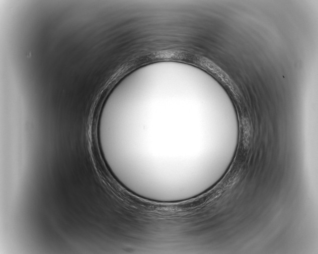 X0000098220482200804241136