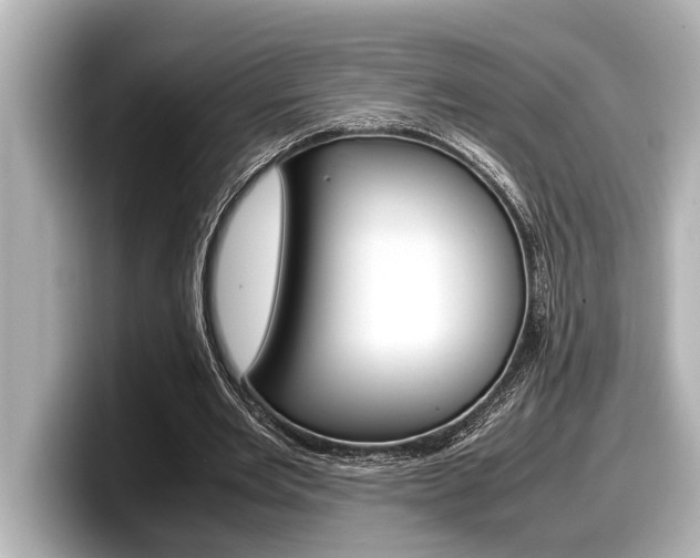 X0000098220485200804241136