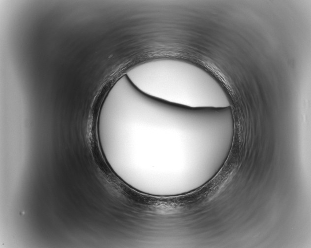 X0000098220490200804241136